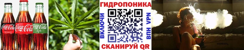 гидра ТОР Абаза Canna-Cookies конопля